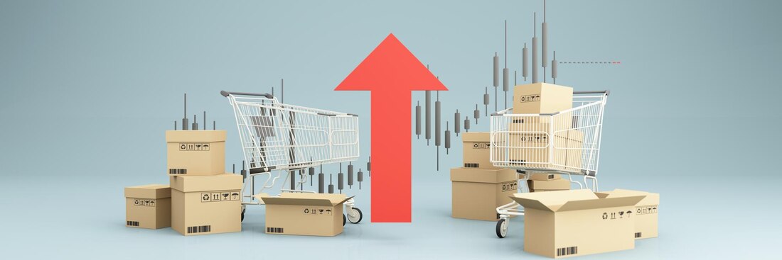 Surplus-as-a-Service (SaaS) Platforms2 – Coastal Surplus Solutions