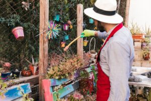 Patio & Garden – Category Niches– Coastal Surplus Solutions