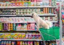 Pet Supplies Liquidation: Growing Market for Animal Products Pet Supplies Liquidation: Growing Market for Animal Products