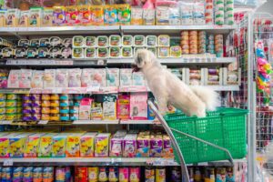 Pet Supplies Liquidation: Growing Market for Animal Products