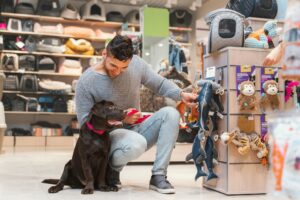 Pet Toys – Category Niches– Coastal Surplus Solutions