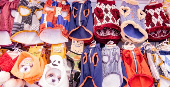 Pet Accessory Liquidation Dog Clothes, Collar & Pet Surplus Inventory– Coastal Surplus Solutions