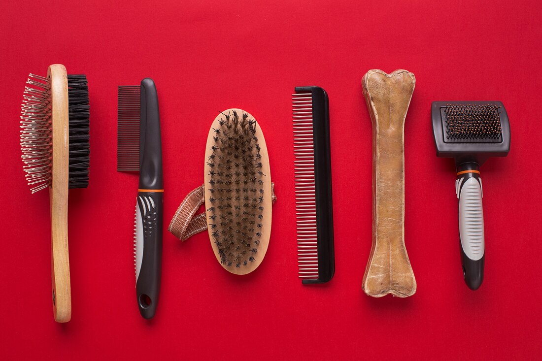 Pet Product Liquidation 2025 Dog, Cat & Animal Supply Surplus Deals– Coastal Surplus Solutions