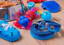 Pet Toy Liquidation Pallets: Dog Toy, Cat Toy & Animal Surplus Lots Pet Toy Liquidation Pallets: Dog Toy, Cat Toy & Animal Surplus Lots